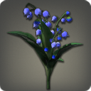 Muguet bleu