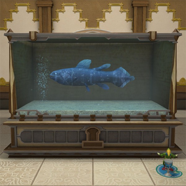 Aquarium de grande taille