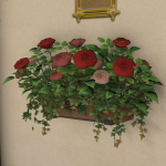 Jardinière murale de roses